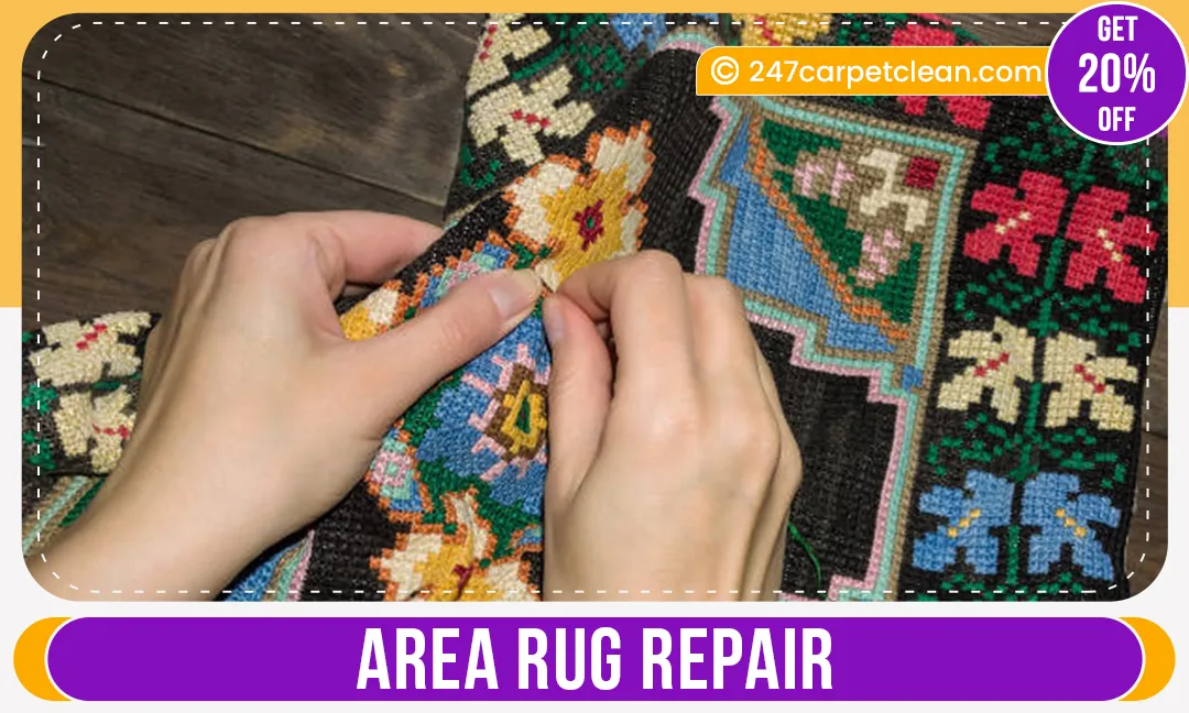 carpet cleaners in Bronx, carpet cleaning in Bronx, carpet cleaning bronx, carpet cleaners in bronx,  commercial carpet cleaning, commercial carpet cleaning in bronx,carpet cleaning in bronx,  bronx rug cleaners, rug cleaning services in bronx, same day carpet cleaning, same day rug cleaning